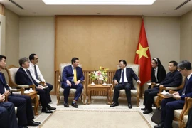 美国—韩国投资者关注越南液化天然气项目