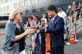 2020庚子年春节：岘港市迎接首批海运入境国际游客