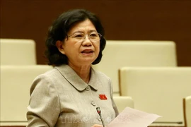 越南第十四届国会第九次会议：讨论试点组织岘港市城市政府模式的决议草案