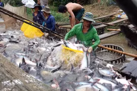 为出口企业开拓市场创造便利条件