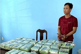 胡志明市公安破获一起跨境贩毒案 缴获毒品86公斤抓获犯罪嫌疑人12人