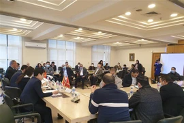激发潜力 促进越埃经贸合作