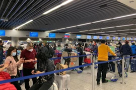 将在德国滞留的近310名越南公民安全接回国
