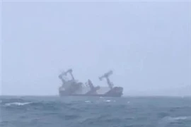 巴拿马籍货轮在平顺省富贵岛附近沉没事故：已找到10名船员