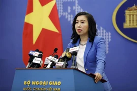 越南外交部发言人：为越南公民和新加坡公民入境创造便利条件