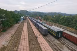 谅山省大力促进同登火车站口岸货物出口活动