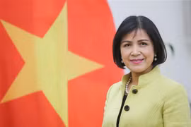 越南主持东盟协调委员会有关世贸组织事务的会议