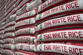 泰国大米出口行业2020年面对种种危机