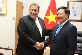 越南与联合国安理会：越南外交部长与各国外长举行会晤