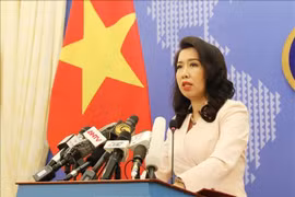 保障越美两国企业和消费者的正当合法利益
