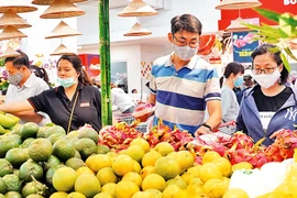 河内市努力实现经济复苏： 加强生产经营活动（一）