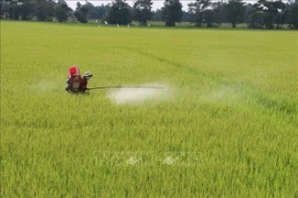 越南农业力争进入世界农业发达国家前15行列