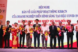胡志明市举行创新型先进企业和优质产品/服务表彰会