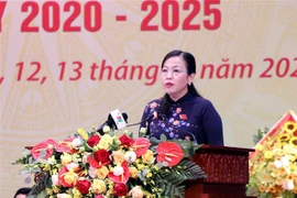 迎接党的十三大：阮青海同志和潘越强同志再次当选太原省委书记和广南省委书记