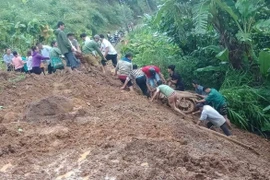 天灾来袭 越南多地方受损严重