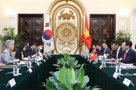 越南政府副总理兼外长范平明同韩国外长举行会谈