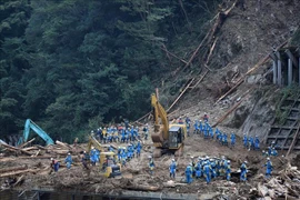 日本找到超强台风海神中失踪越南实习生遗体