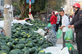 新冠肺炎疫情：寻找措施扭转水果销售市场低迷趋势