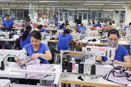 捷克对EVFTA生效后捷越贸易合作前景给予高度评价