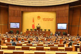 国会第十次会议：专题询问和回答询问活动充分反应国家5年来的变化