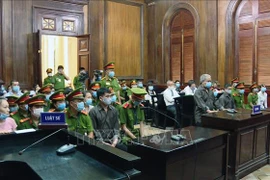 胡志明市人民法院对8人聚众扰乱安全罪一案公开宣判