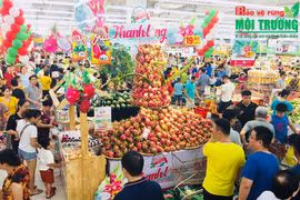 郑廷勇：着力调降物流费 提高越南商品竞争力