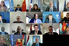 越南与联合国安理会：越南呼吁国际社会兑现对伊拉克援助的承诺