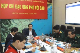 越南各部委和地方政府主动应对台风轮番来袭局势