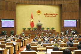 越通社简讯2020.11.17