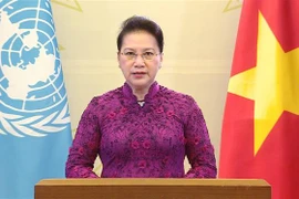 越南国会主席阮氏金银在纪念第四次世界妇女大会25周年高级别会议上通过视频发表讲话