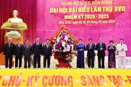 迎接党的十三大：国会主席阮氏金银出席越共和平省第十七次代表大会