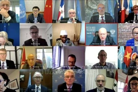 越南与联合国安理会：越南呼吁国际社会协助叙利亚应对新冠肺炎疫情
