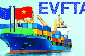 坚韧不拔 参加EVFTA