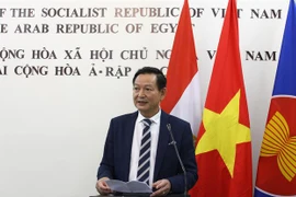借助媒体力量巩固越埃友谊桥梁