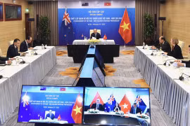 越南和新西兰向双边贸易额达17亿美元的目标迈进