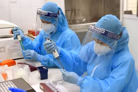 越南无新增新冠肺炎确诊病例 累计确诊病例1063例