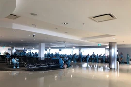把在澳大利亚和新西兰滞留的350多名越南公民接回国