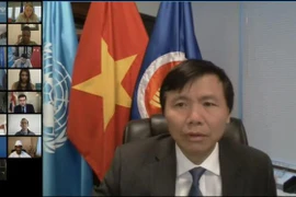 越南呼吁消除对妇女的歧视和偏见