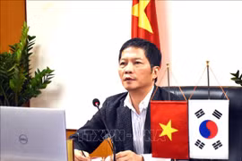 促进越南与罗马尼亚贸易合作