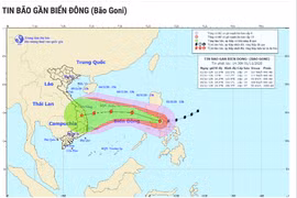 超强台风天鹅11月2日进入东海 可继续影响越南中部地区