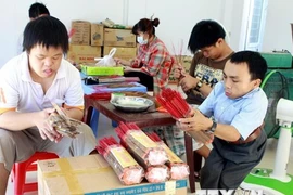 金瓯省积极落实国家对橙剂受害者的优抚政策