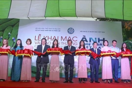  2020年越南艺术摄影大赛结果出炉