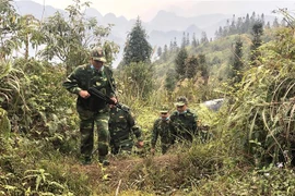 奋战在新冠肺炎防控一线的越南边防部队：官兵住帐篷、躺森林防止新冠肺炎疫情入侵（第一期）