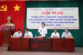 需要采取有效的长期措施 解决九龙江三角洲干旱和盐渍化情况