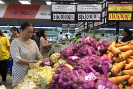 胡志明市消费物价指数增长0.66%