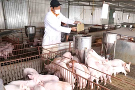 农业与农村发展部副部长冯德进：今年农林水产品出口额将达400亿多美元