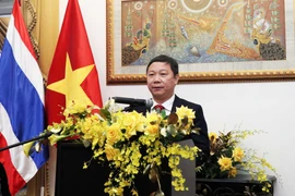 促进越南与泰国在各领域的合作关系