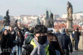  旅捷越南人积极参与当地防控新型肺炎疫情的战斗