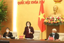 国会主席阮氏金银：尽快完善第十五届国会代表和各级人民议会代表选举提案