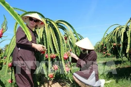 越南政府总理批准至2050年平顺省规划